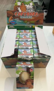 Obrázek z Vejce rostoucí kapybara 6,5cm (12) 